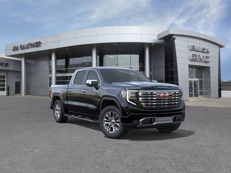 2025 GMC Sierra 1500 Denali 4WD Crew Cab 147" Denali Gas V8 5.3L/325 [1]